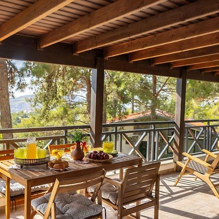 Platres Forest View Cottage Kültér fotó